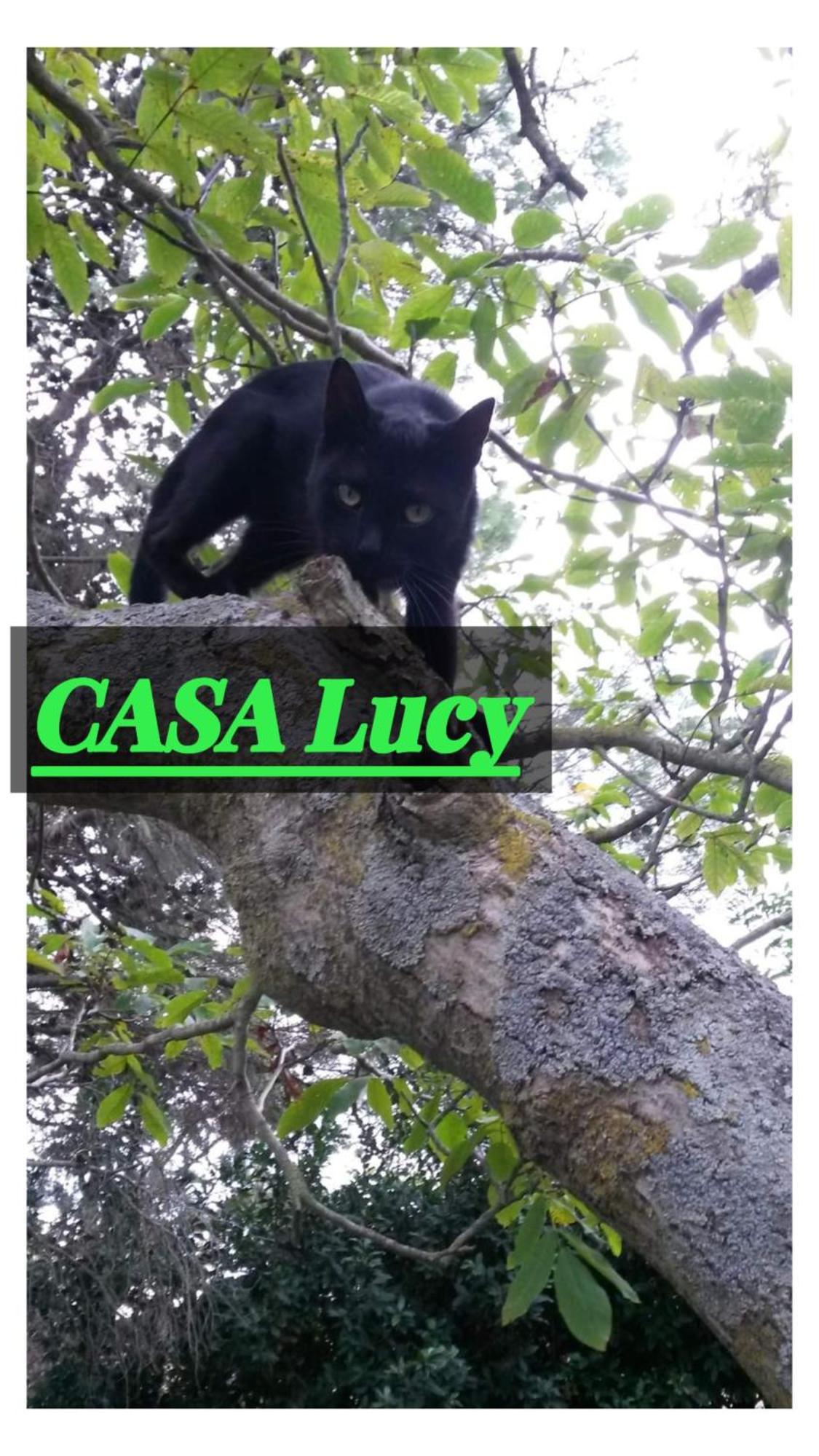 شقة Casa Lucy بيتيجليانو المظهر الخارجي الصورة